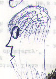 brain_4.jpg