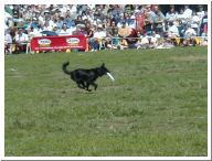 19990925pics4.jpg