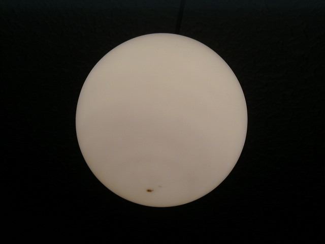 20000125pic1.jpg