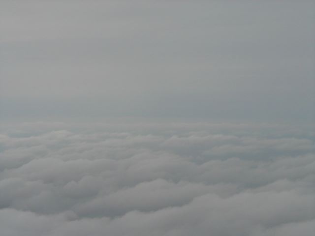 p7190046.jpg