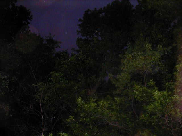 pic00024.jpg