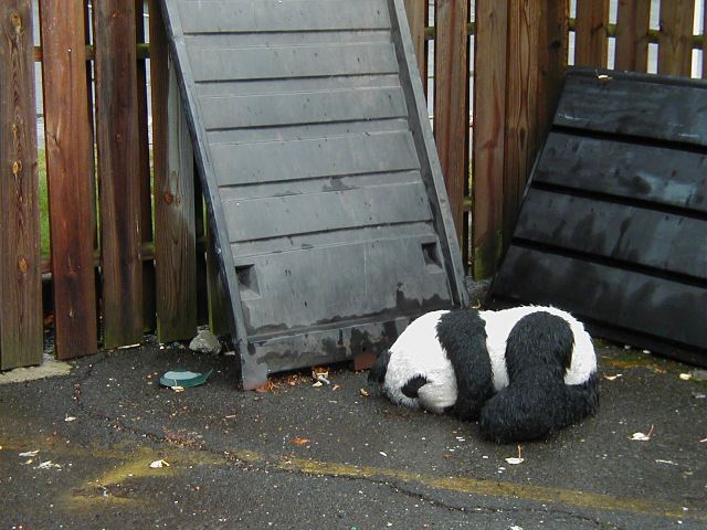 A sad Panda previous picture return to gallery next picture