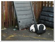 sad panda