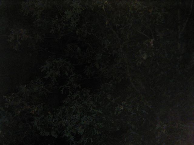 p9020018.jpg