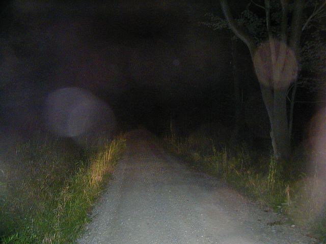 p9090038.jpg