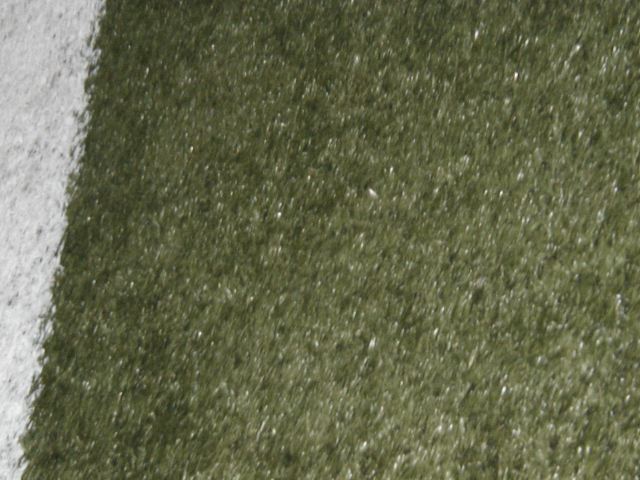 pb080031.jpg