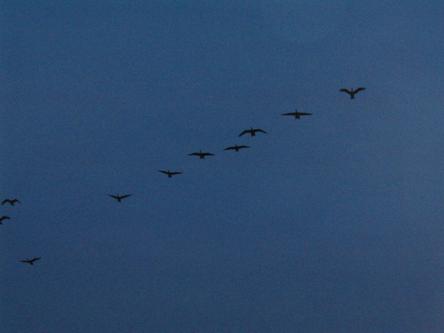 p7290014.jpg