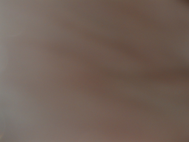 p8010029.jpg