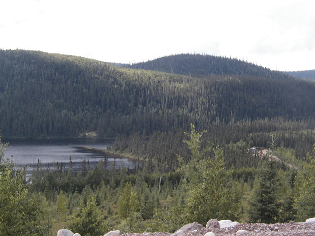 p8020099.jpg