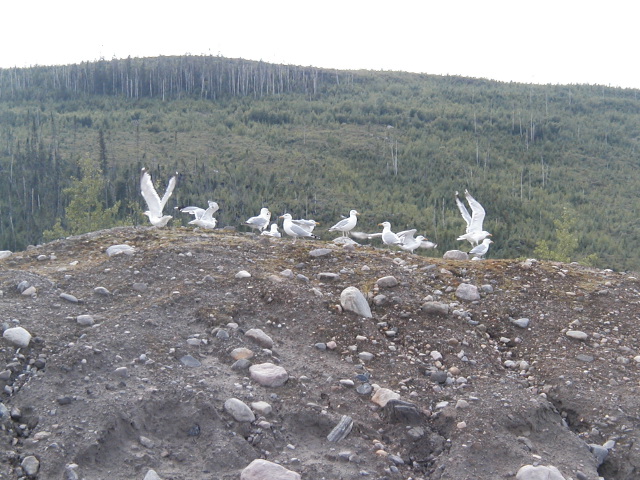 p8020102.jpg