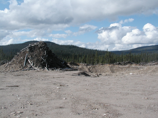 p8020119.jpg