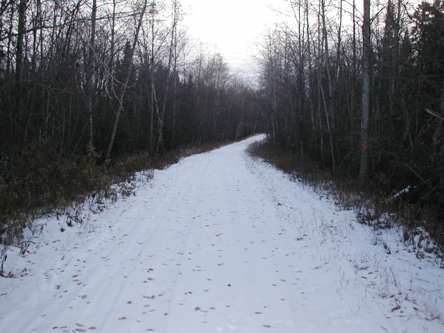 pb180236.jpg