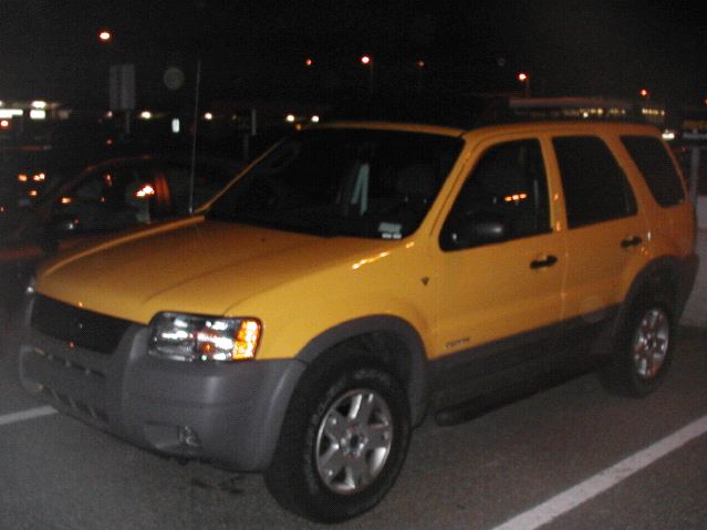 Banana Yellow Ford Escape