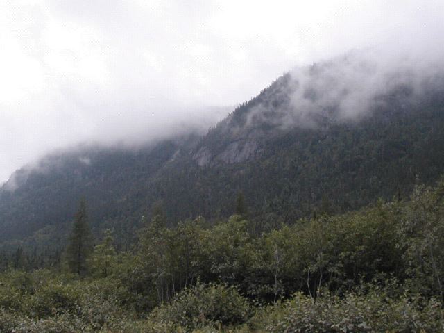 Hazy Mountain