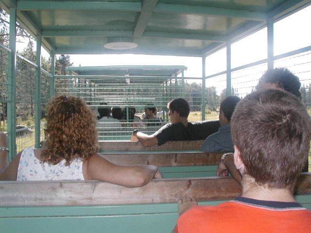 Train at Zoo