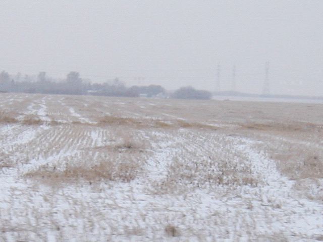 Praire with Snow