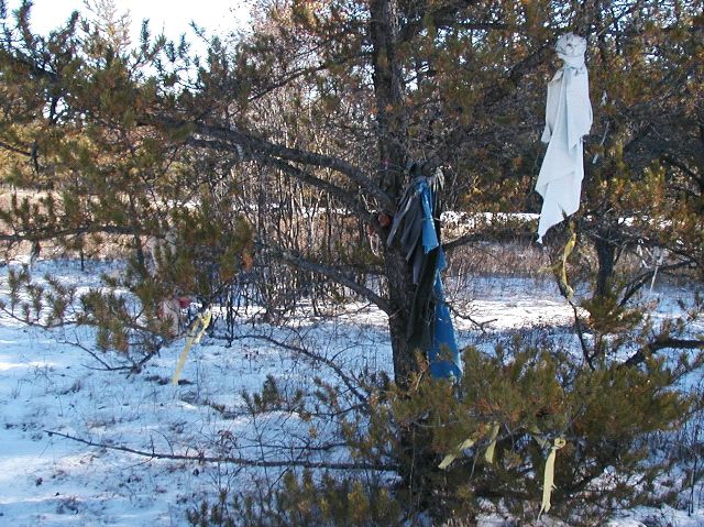 Rags Hanging in Trees
