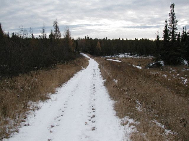 Nice Path