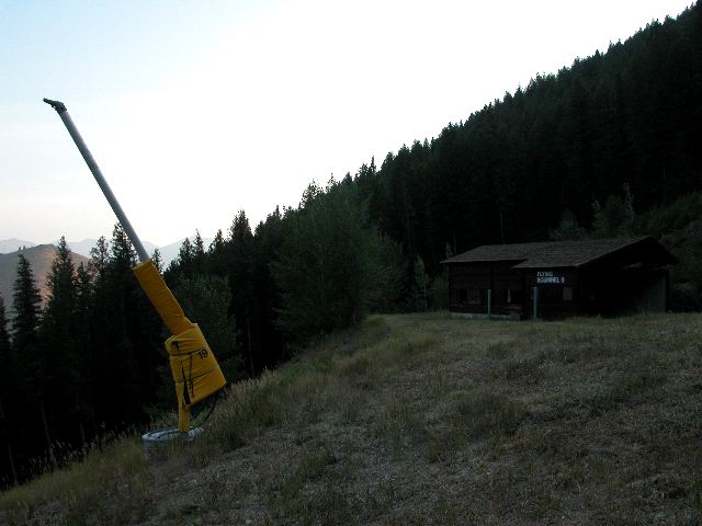 Flying Squirrel