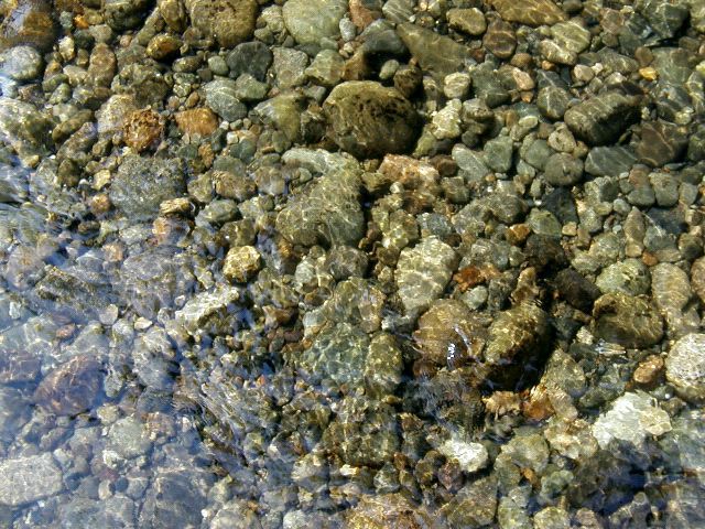 Stream Bed