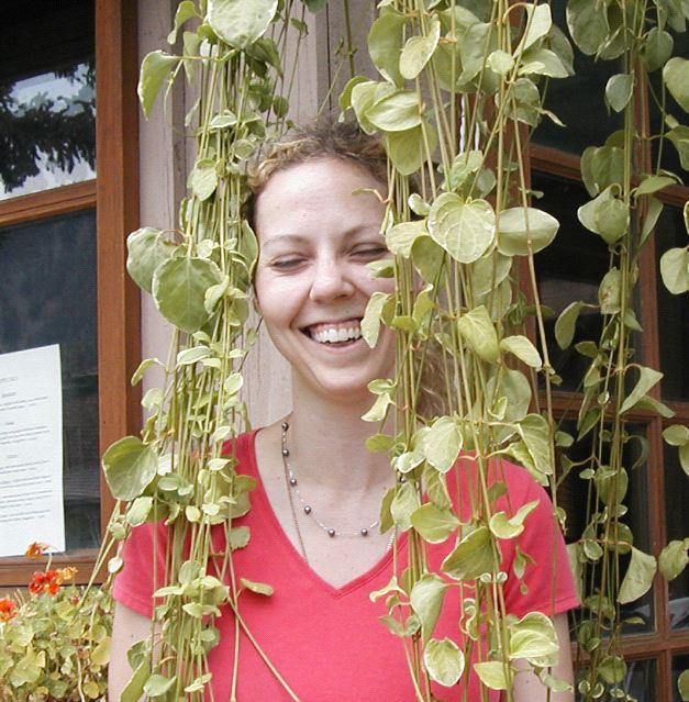 Marilyn in a Plant