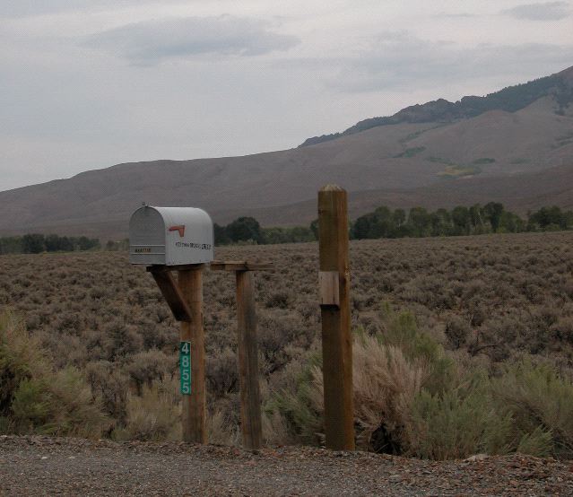 Lonely Mailbox