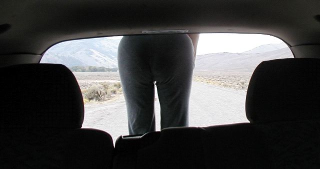 Marilyn's Butt