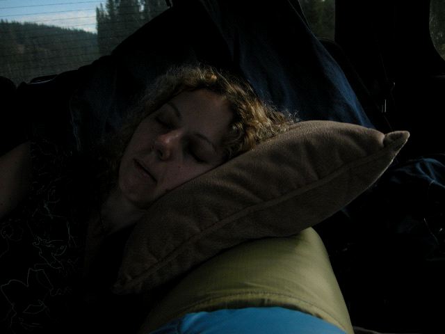 Marilyn Napping in Car
