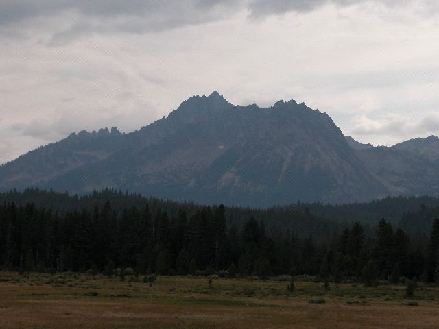 More Mountains and Trees