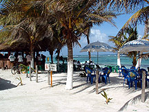 Majahual