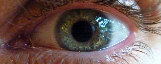 Eye